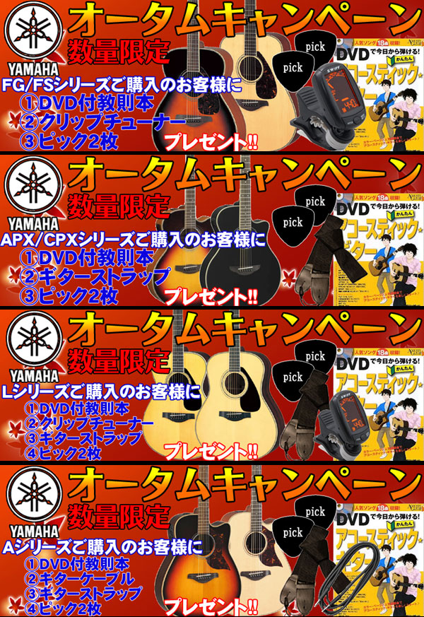 必要なアクセサリーが全部そろう!!