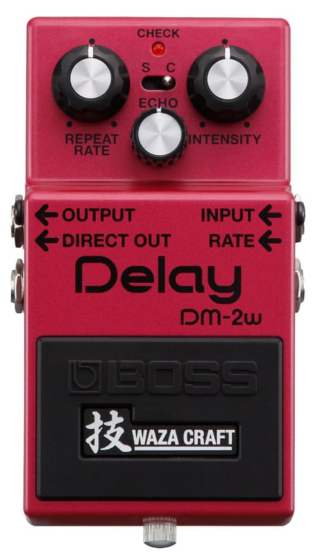 DM-2W Delay