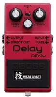 DM-2W Delay