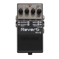 RV-6 Reverb
