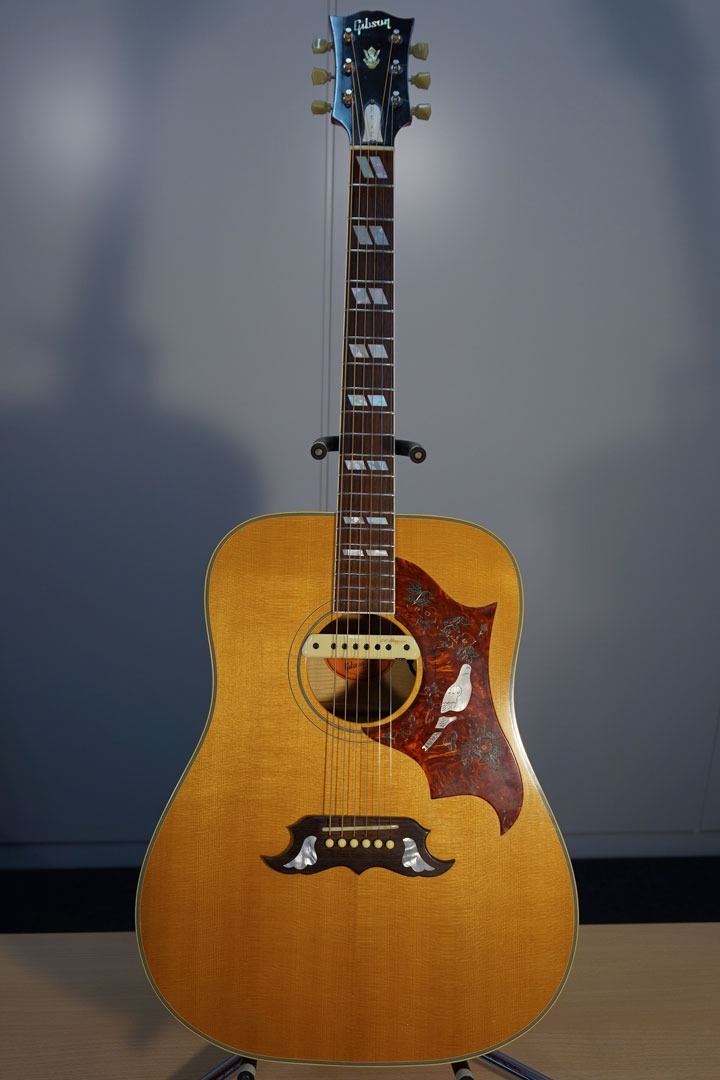 Gibson DOVE 写真