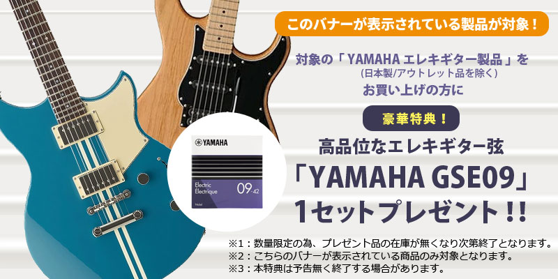 エレキギター弦プレゼント