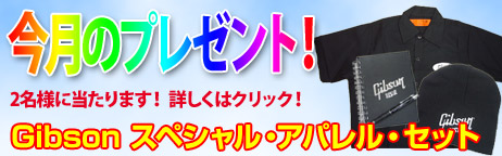 毎月厳選された楽器やアクセサリーが当たります！ 
