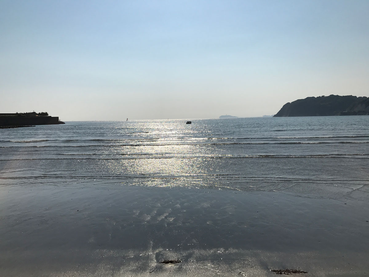 海