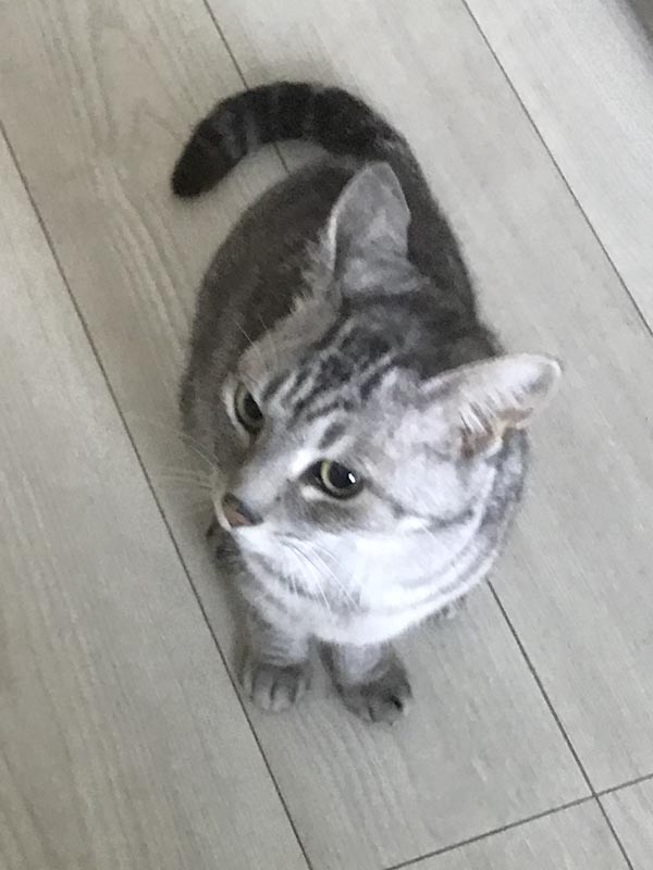 ちー